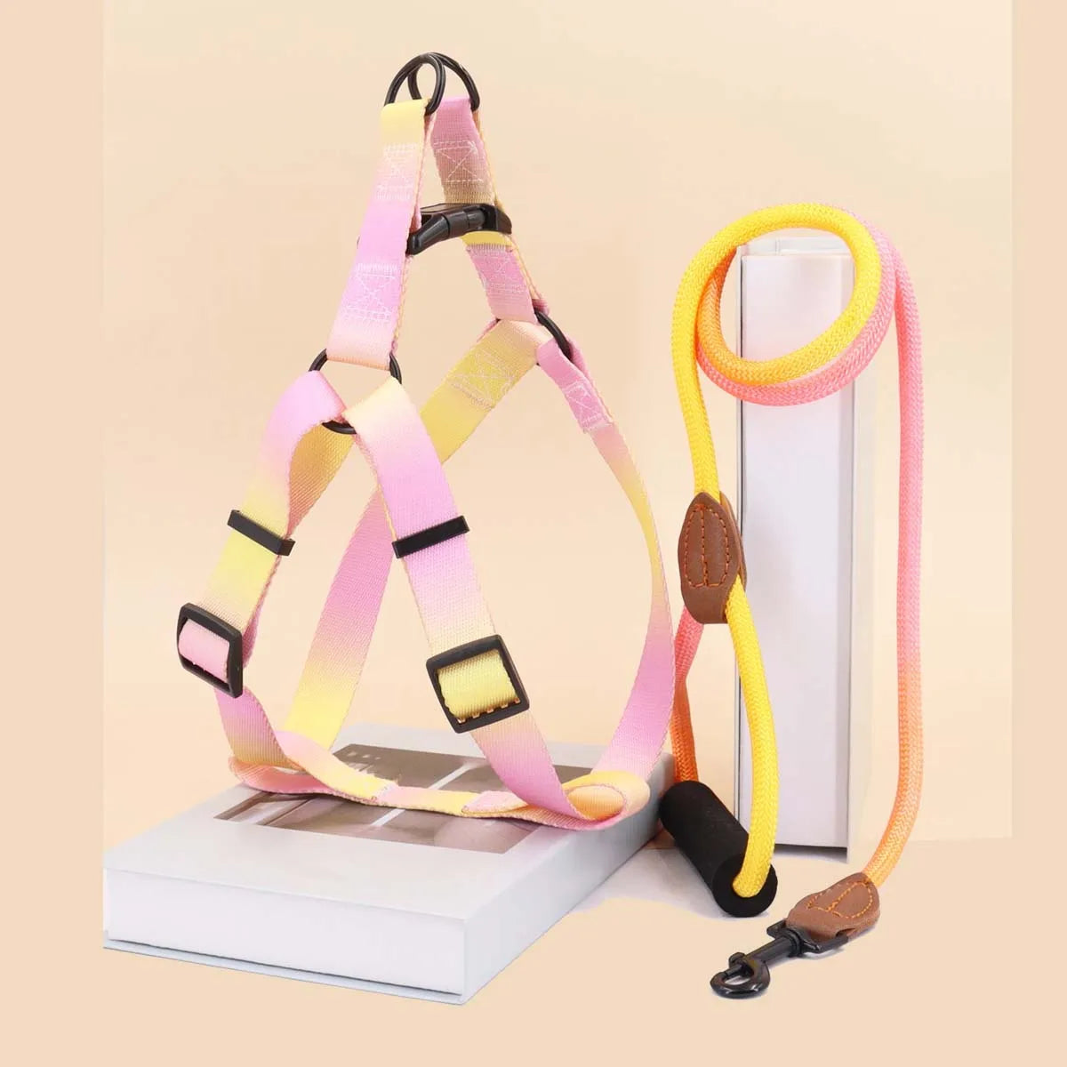 Set de Arnés y Correa Colorido para Perros – Ideal para Uso Interior y Exterior