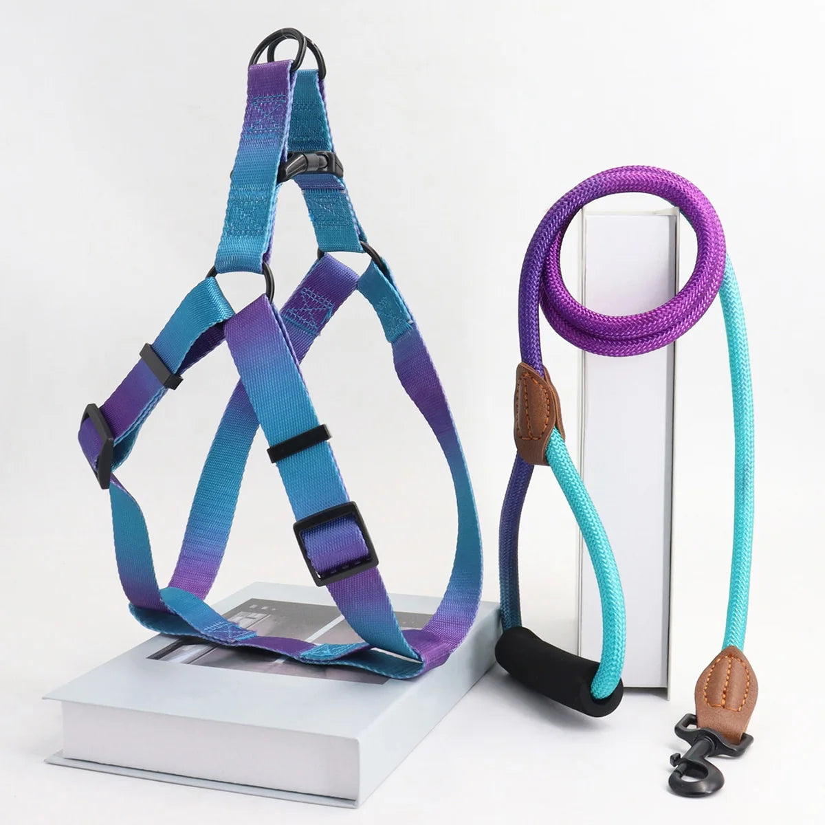 Set de Arnés y Correa Colorido para Perros – Ideal para Uso Interior y Exterior