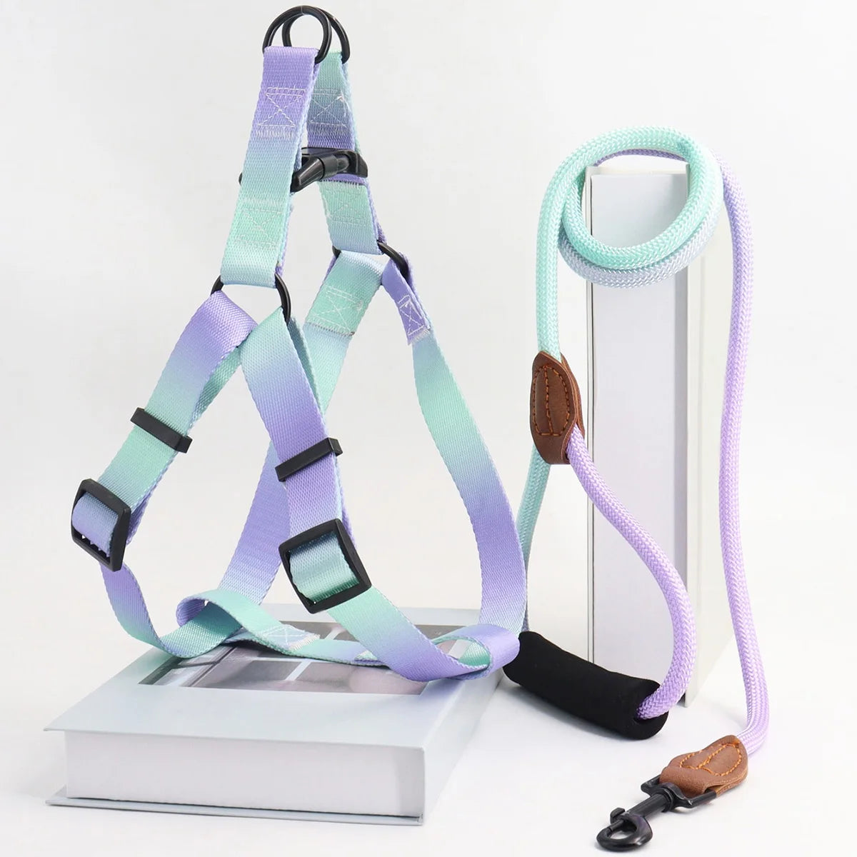 Set de Arnés y Correa Colorido para Perros – Ideal para Uso Interior y Exterior
