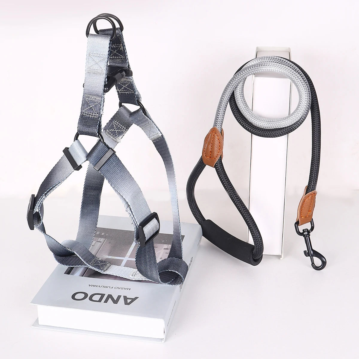Set de Arnés y Correa Colorido para Perros – Ideal para Uso Interior y Exterior