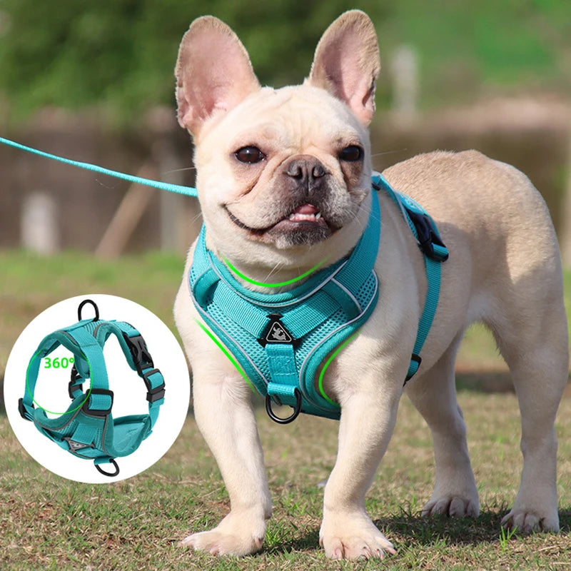 Arnés y correa antiescape para gatos y perros pequeños – Ajustable, reflectante y transpirable