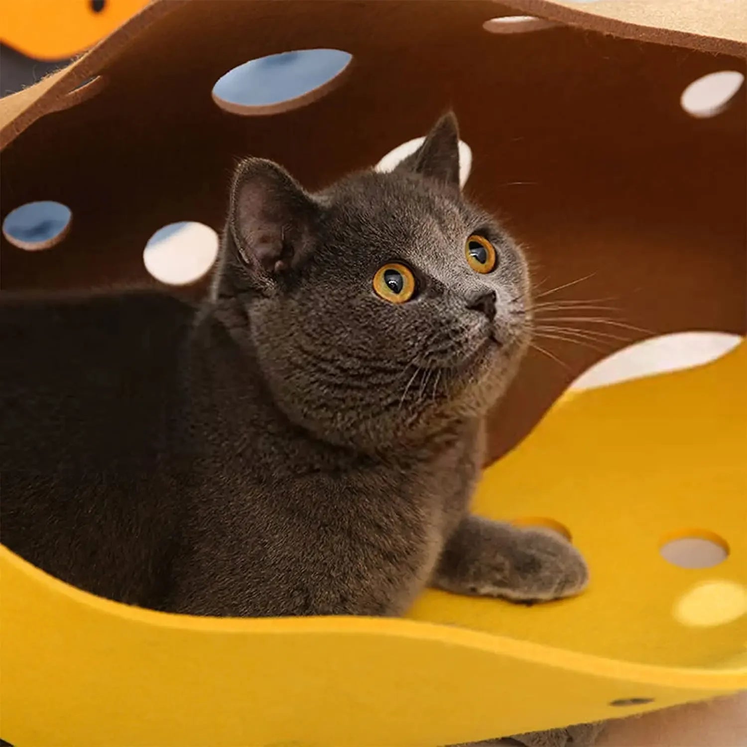 Cat Tunnels Bed Foldable Pet Tunnel Tube Bed with Holes DIY Cats Play Mat Cat Activity Rug Toy for Interacti