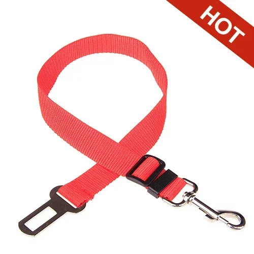 Cinturón de seguridad para perros y gatos – Ajustable y resistente
