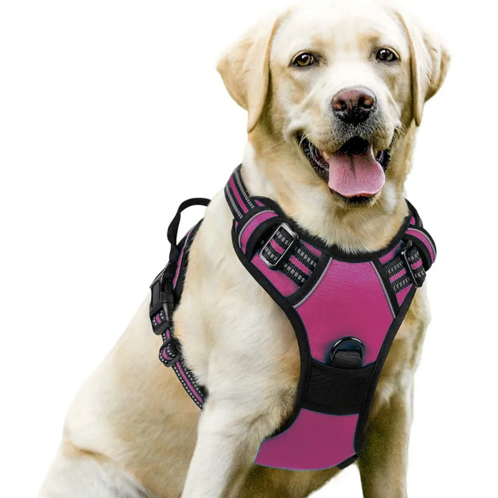 Arnés tipo chaleco para perros medianos y grandes – Cómodo, resistente y seguro