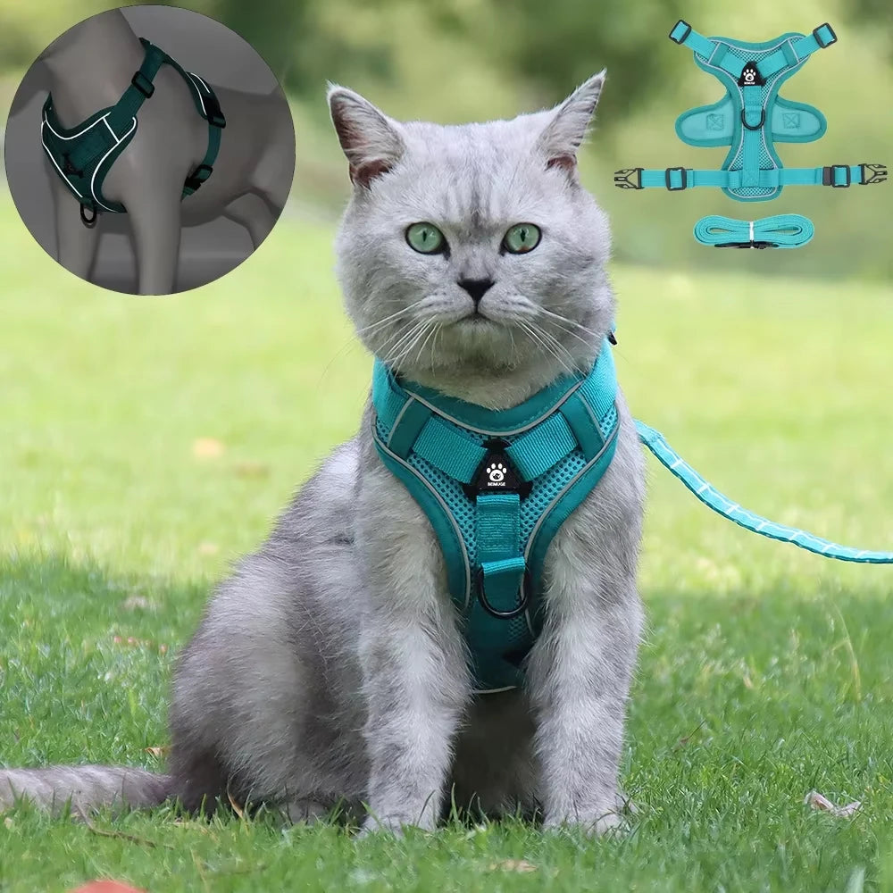 Arnés y correa antiescape para gatos y perros pequeños – Ajustable, reflectante y transpirable