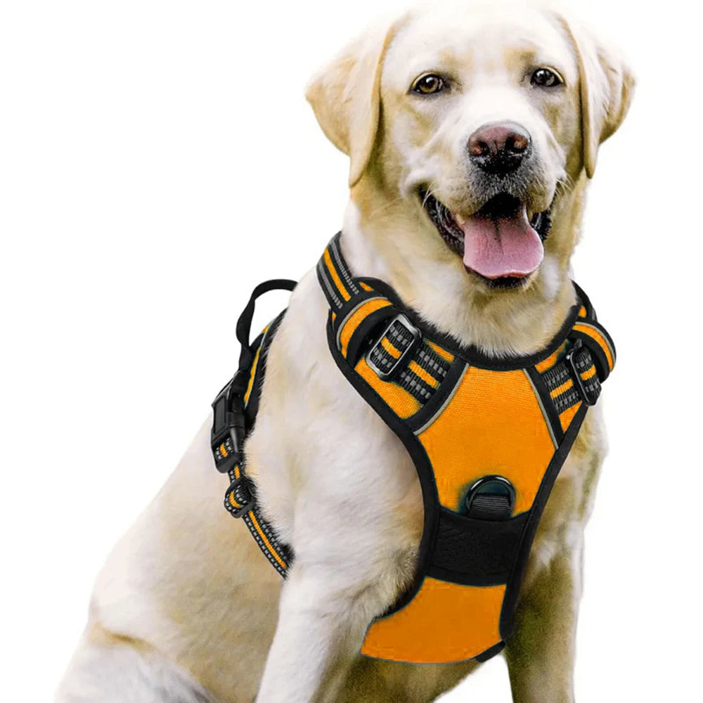 Arnés tipo chaleco para perros medianos y grandes – Cómodo, resistente y seguro