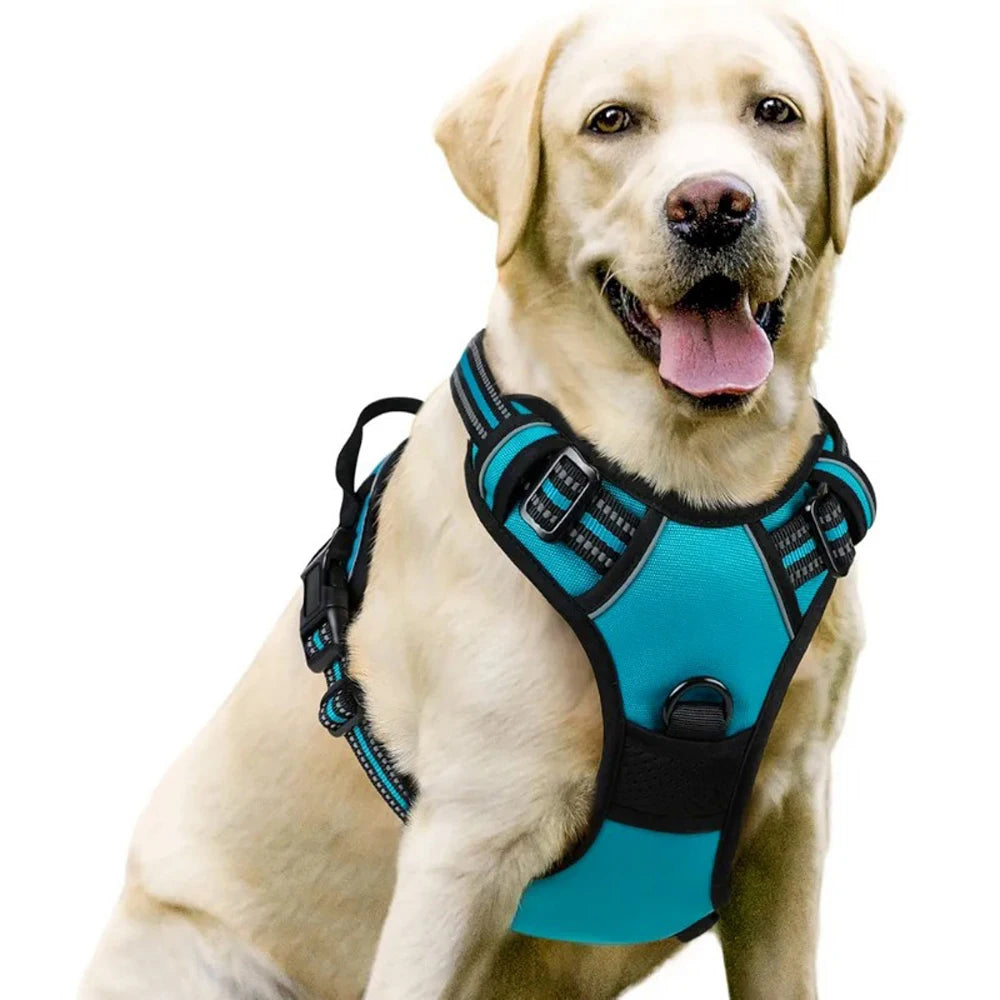 Arnés tipo chaleco para perros medianos y grandes – Cómodo, resistente y seguro