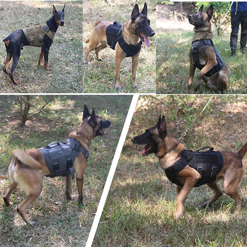 Arnés táctico militar para perros grandes – Set de entrenamiento con correa