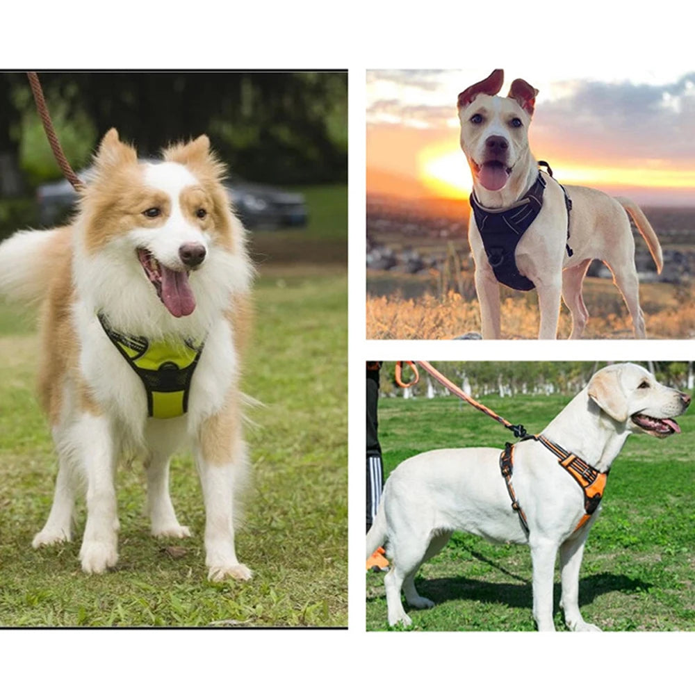Arnés tipo chaleco para perros medianos y grandes – Cómodo, resistente y seguro