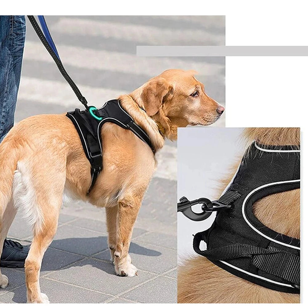 Arnés tipo chaleco para perros medianos y grandes – Cómodo, resistente y seguro