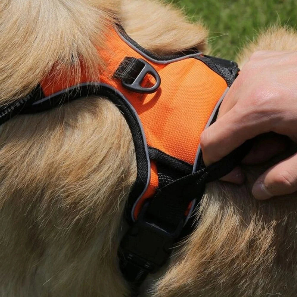 Arnés tipo chaleco para perros medianos y grandes – Cómodo, resistente y seguro
