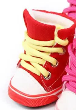 2024 New Fashion pet shoes for dogs teddy small dog shoes Anti-slip Puppy pet boot ZL102