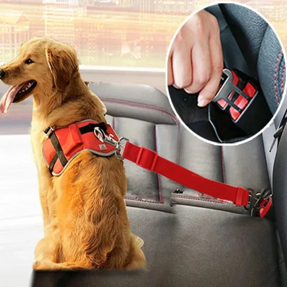Cinturón de seguridad para perros y gatos – Ajustable y resistente